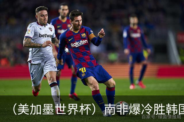 （美加墨世界杯）南非爆冷胜韩国 携手墨西哥晋级淘汰赛